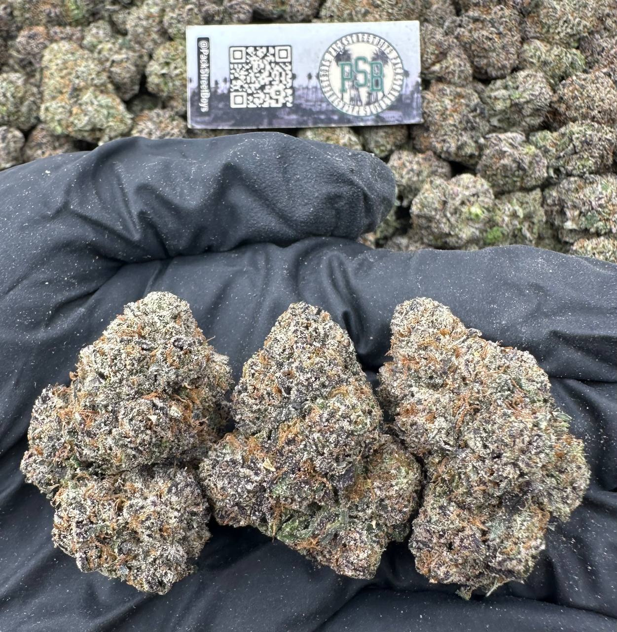 AMBROSIA 12458 - packstreetboys