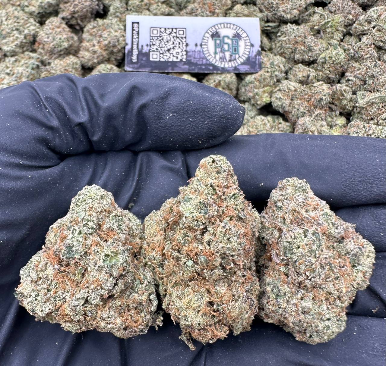 APPLE BOMB 12468 - packstreetboys