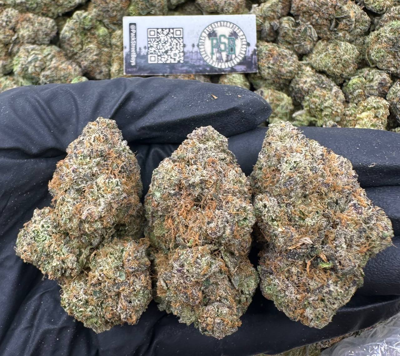 APPLE STRUDEL 12490 - packstreetboys