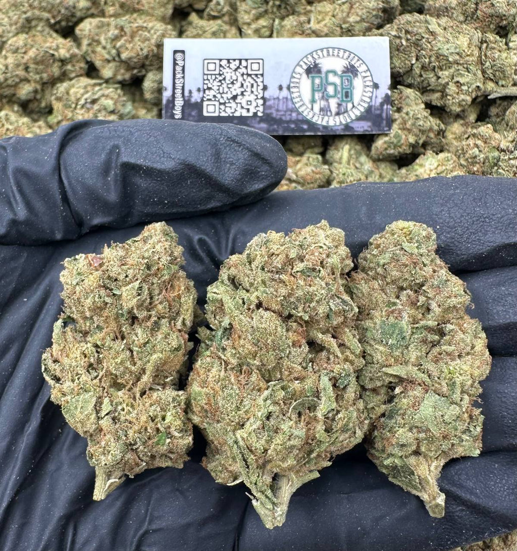 BLUEBERRY FRITTERS 12530 - packstreetboys