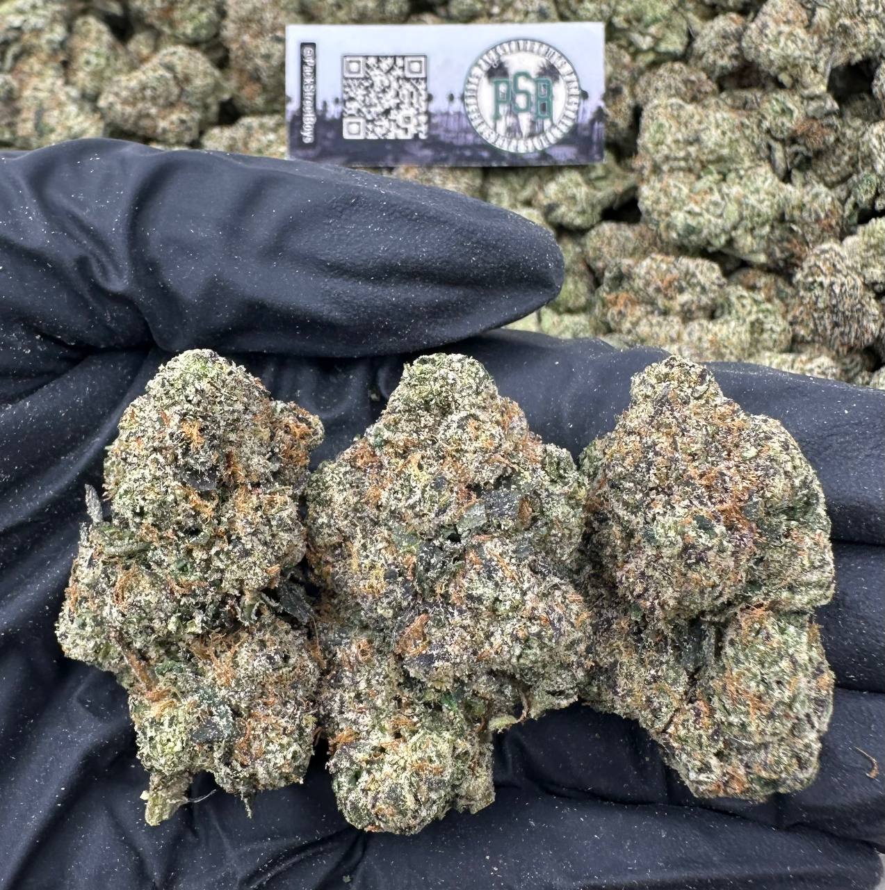 BLUEBERRY ICE BOMB 12462 - packstreetboys