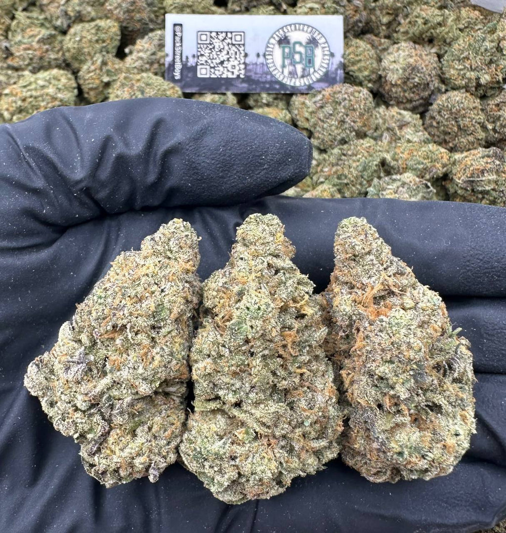 BLUEBERRY ZAP 12467 - packstreetboys
