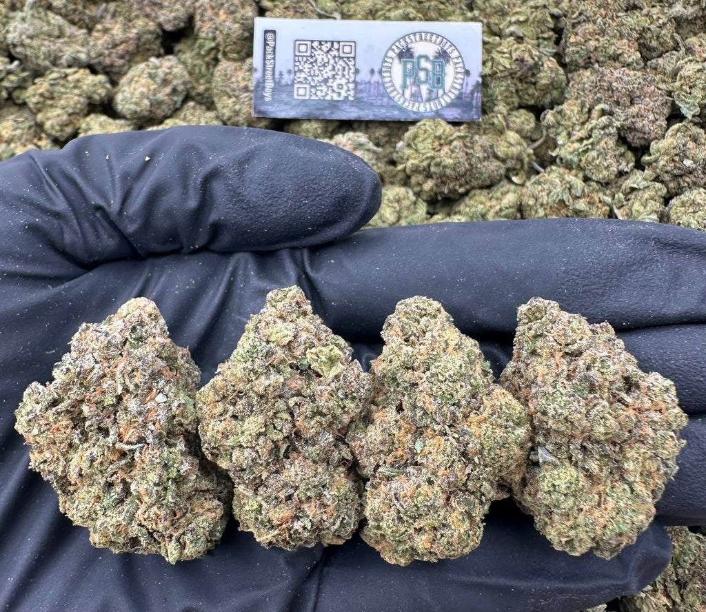 BUBBLEGUM RUNTZ 12466 - packstreetboys