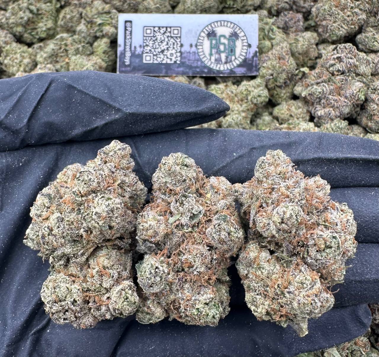 CANDY FLAME 12498 - packstreetboys