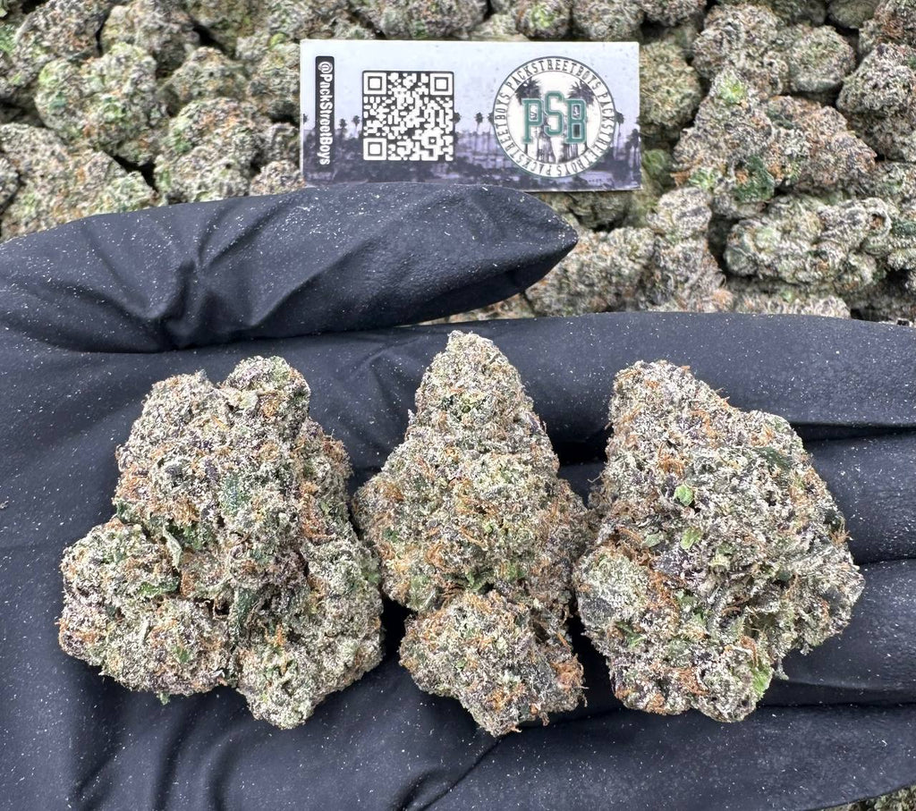 CARAMEL KISS 12483 - packstreetboys