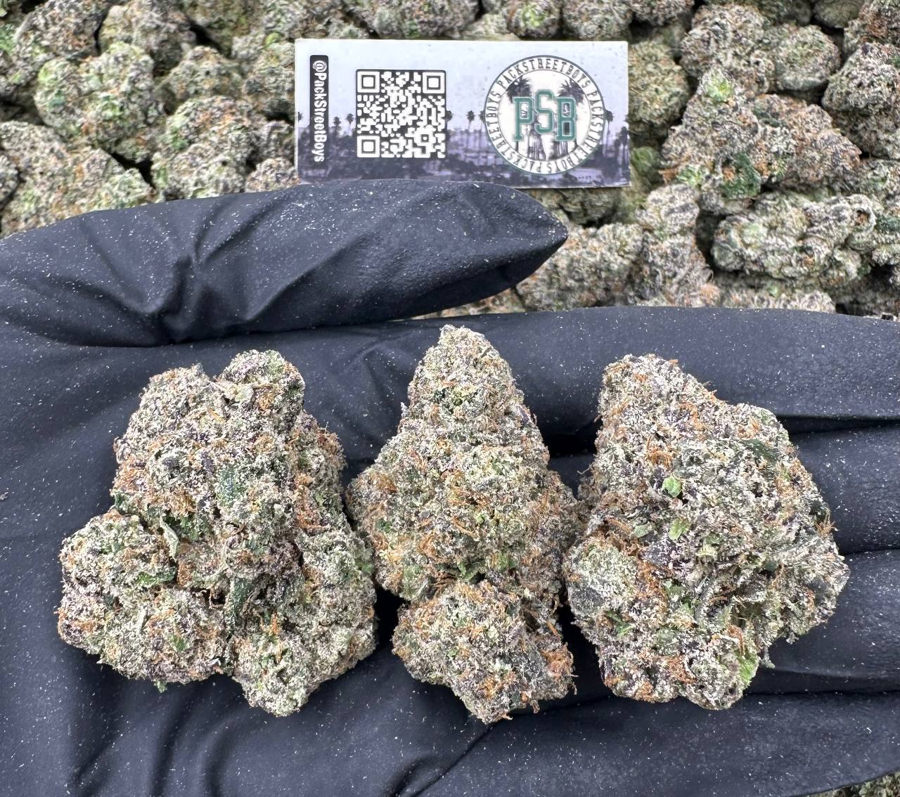 CARAMEL KISS 12483 - packstreetboys