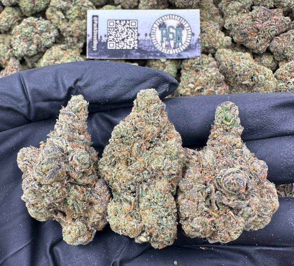 GREEN OG 12504 - packstreetboys