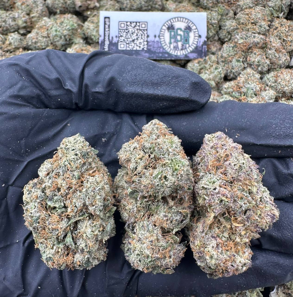 GUMBO SLAPS 12531 - packstreetboys