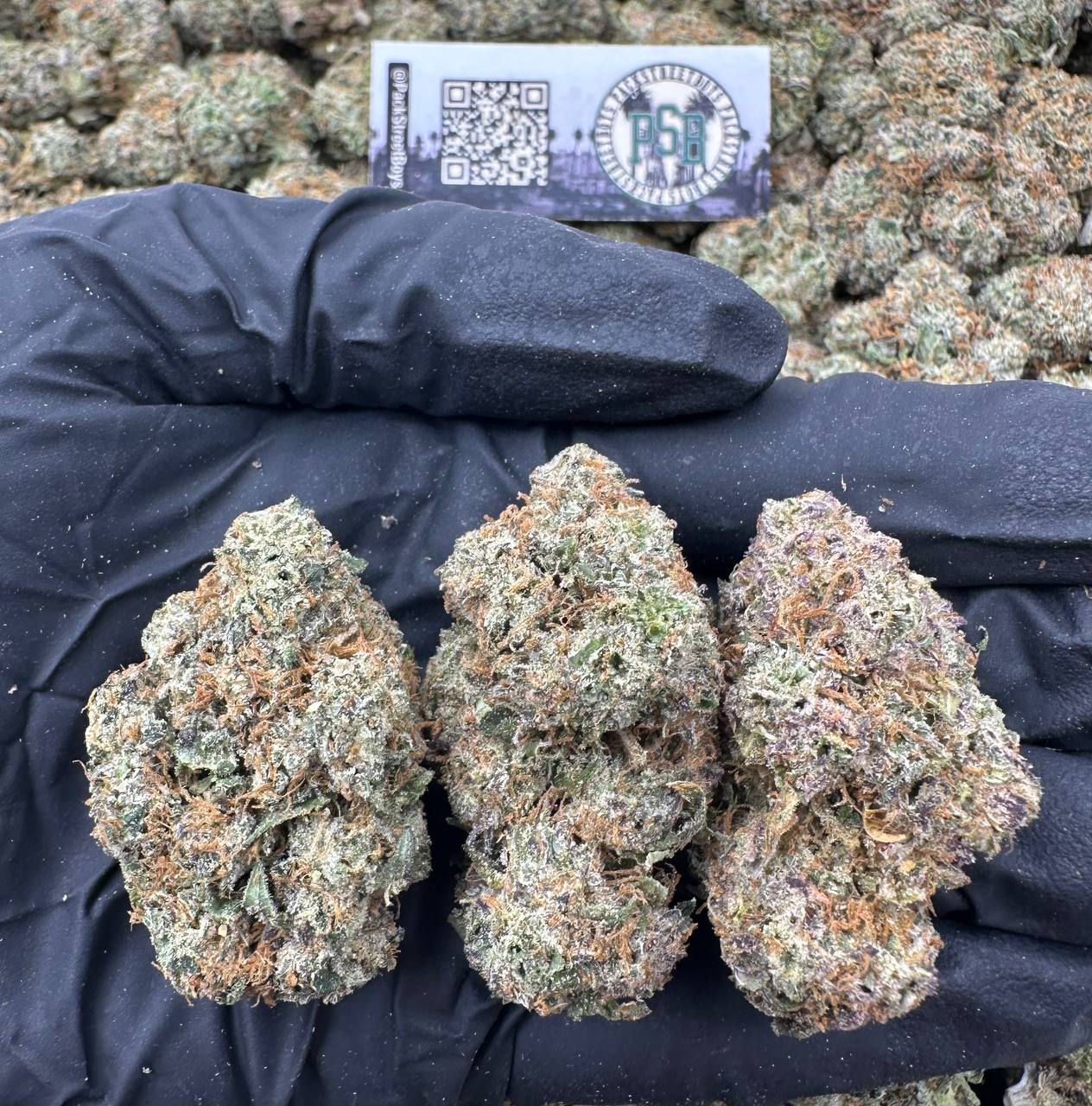 GUMBO SLAPS 12531 - packstreetboys