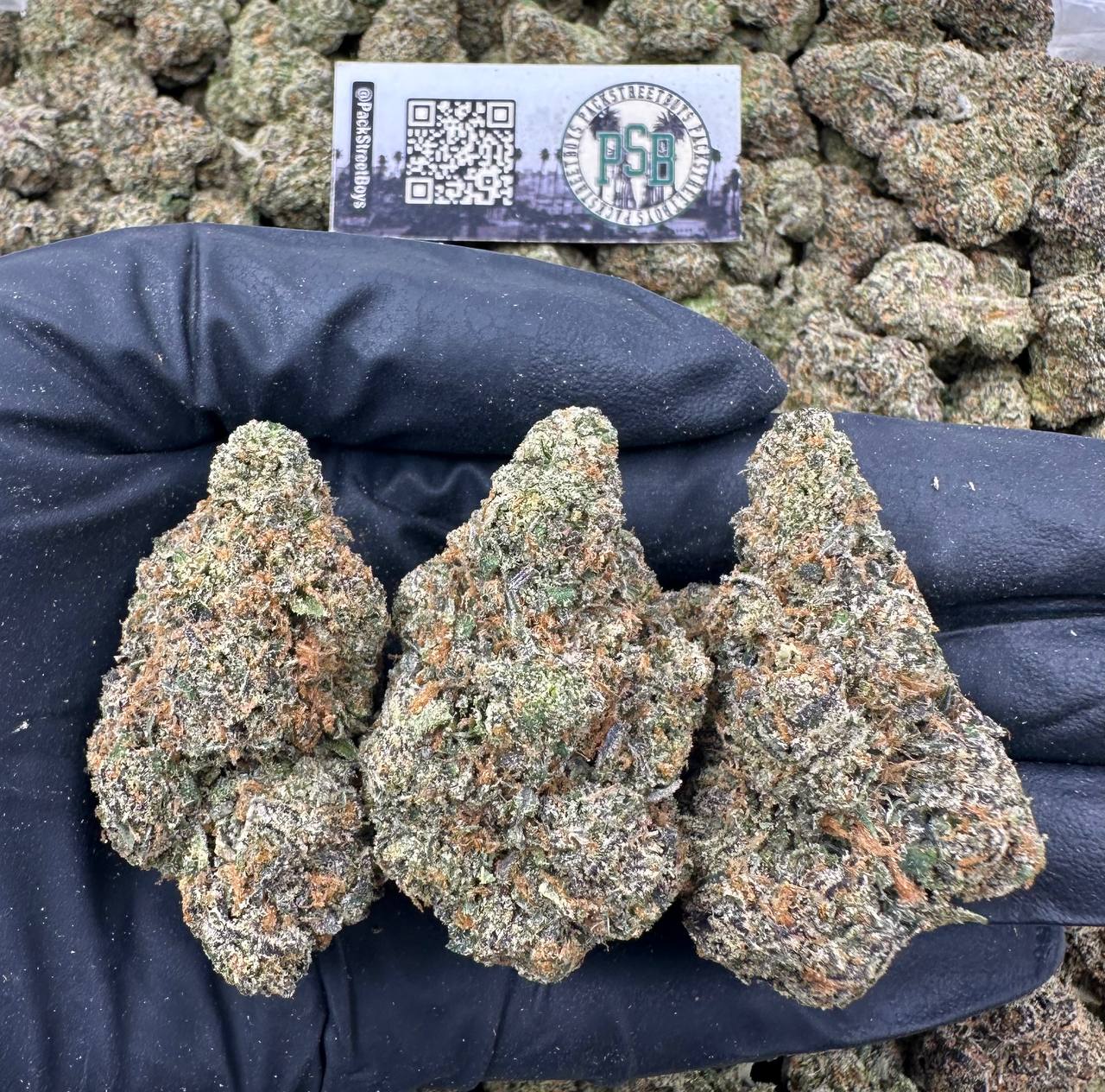 LA TRAFFIC 12484 - packstreetboys