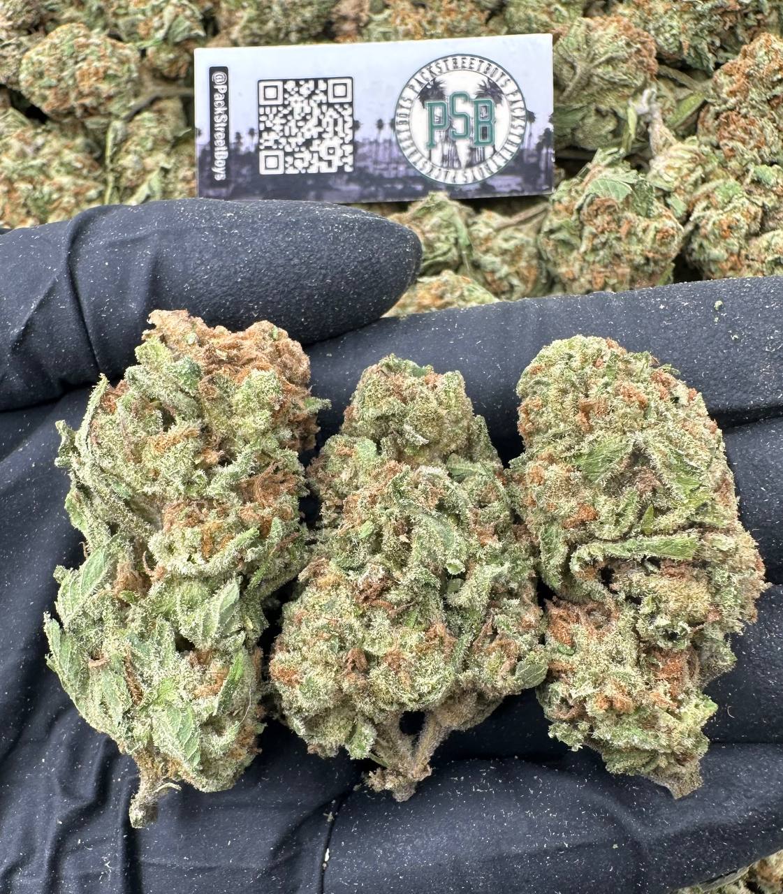 LAVA CAKE 12524 - packstreetboys