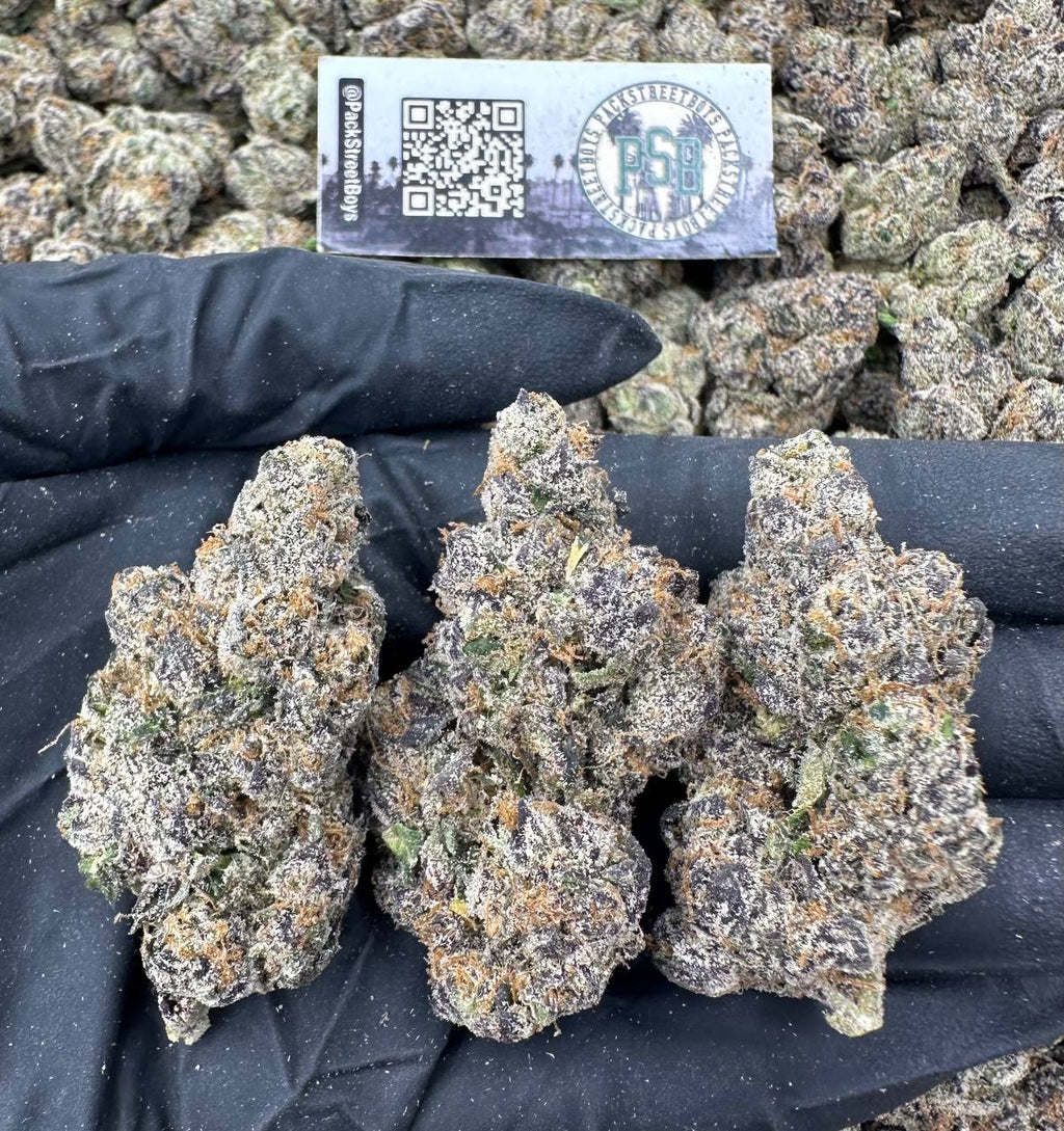 LEMON CHAMPAGNE 12482 - packstreetboys