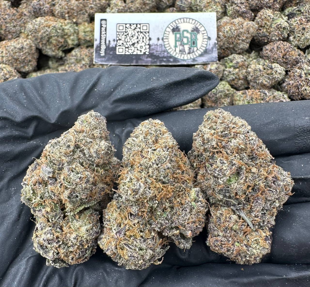 LEMON FRESCA 12489 - packstreetboys