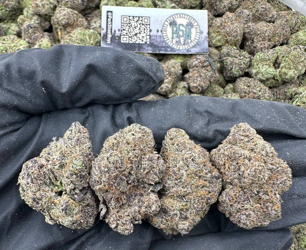 MANDARIN SLUSHEE 12459 - packstreetboys