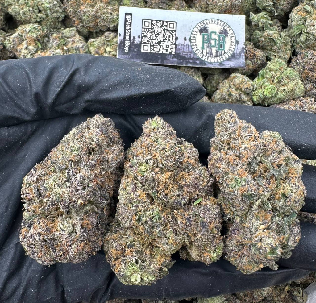 MEGA MOCHIS 12491 - packstreetboys