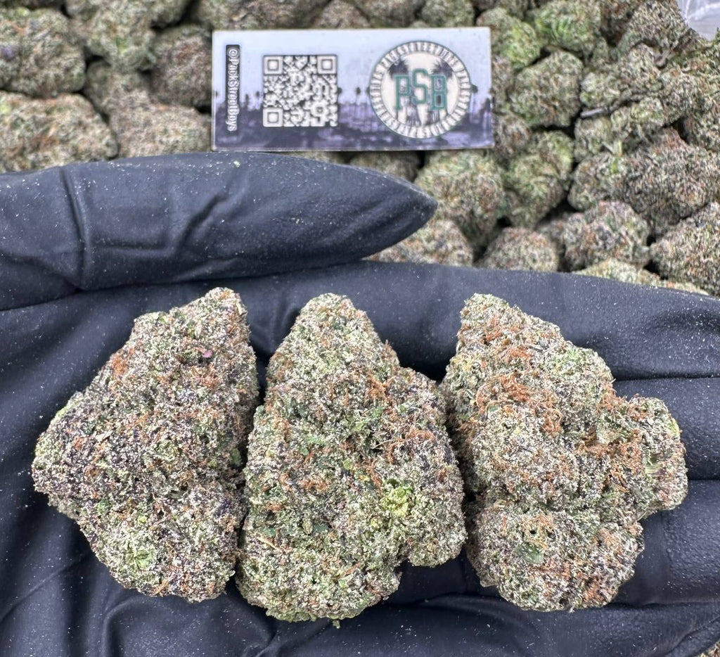 MOCHI DRIZZLE 12507 - packstreetboys