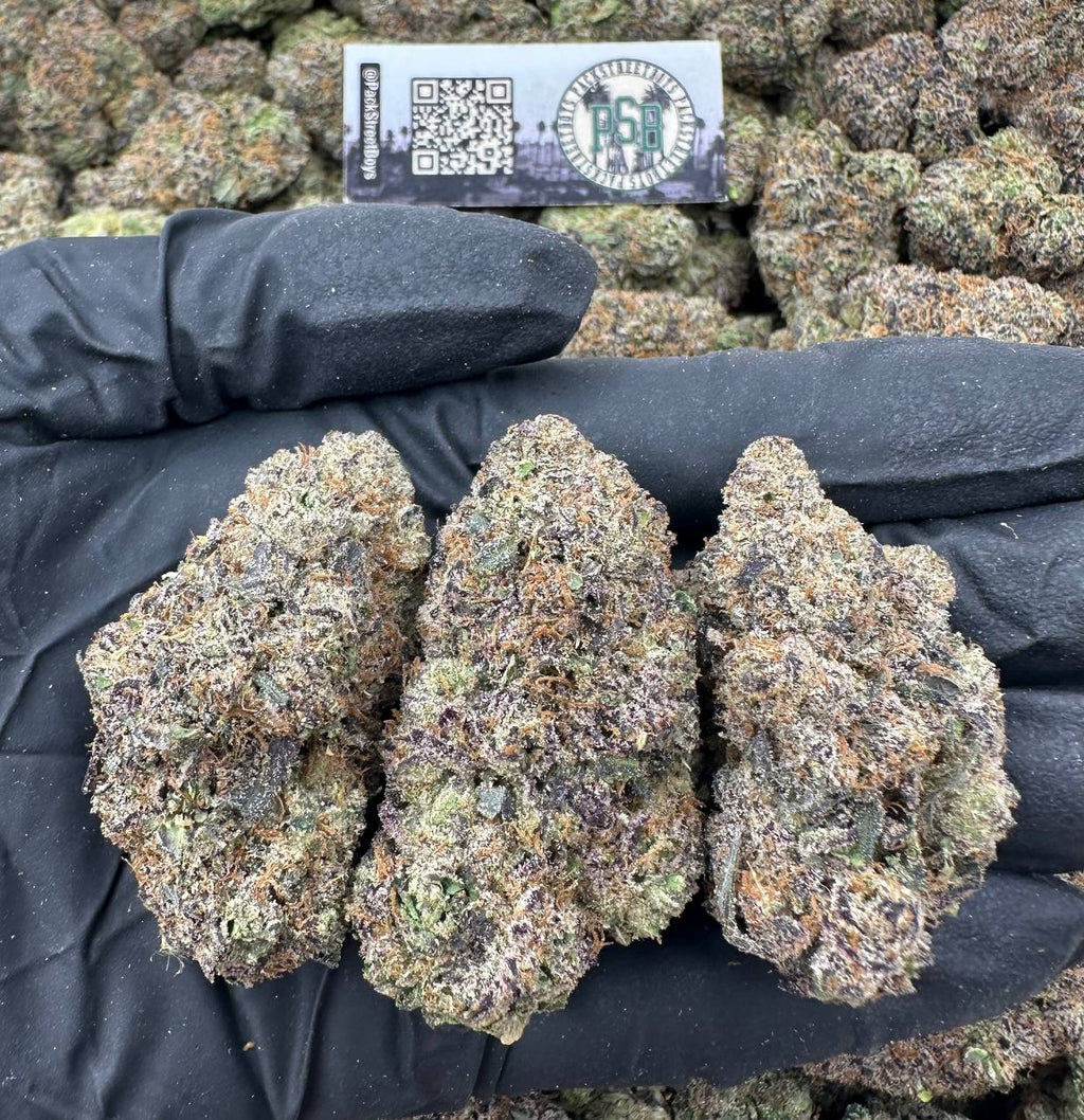 MOCHI ROCKET 12533 - packstreetboys