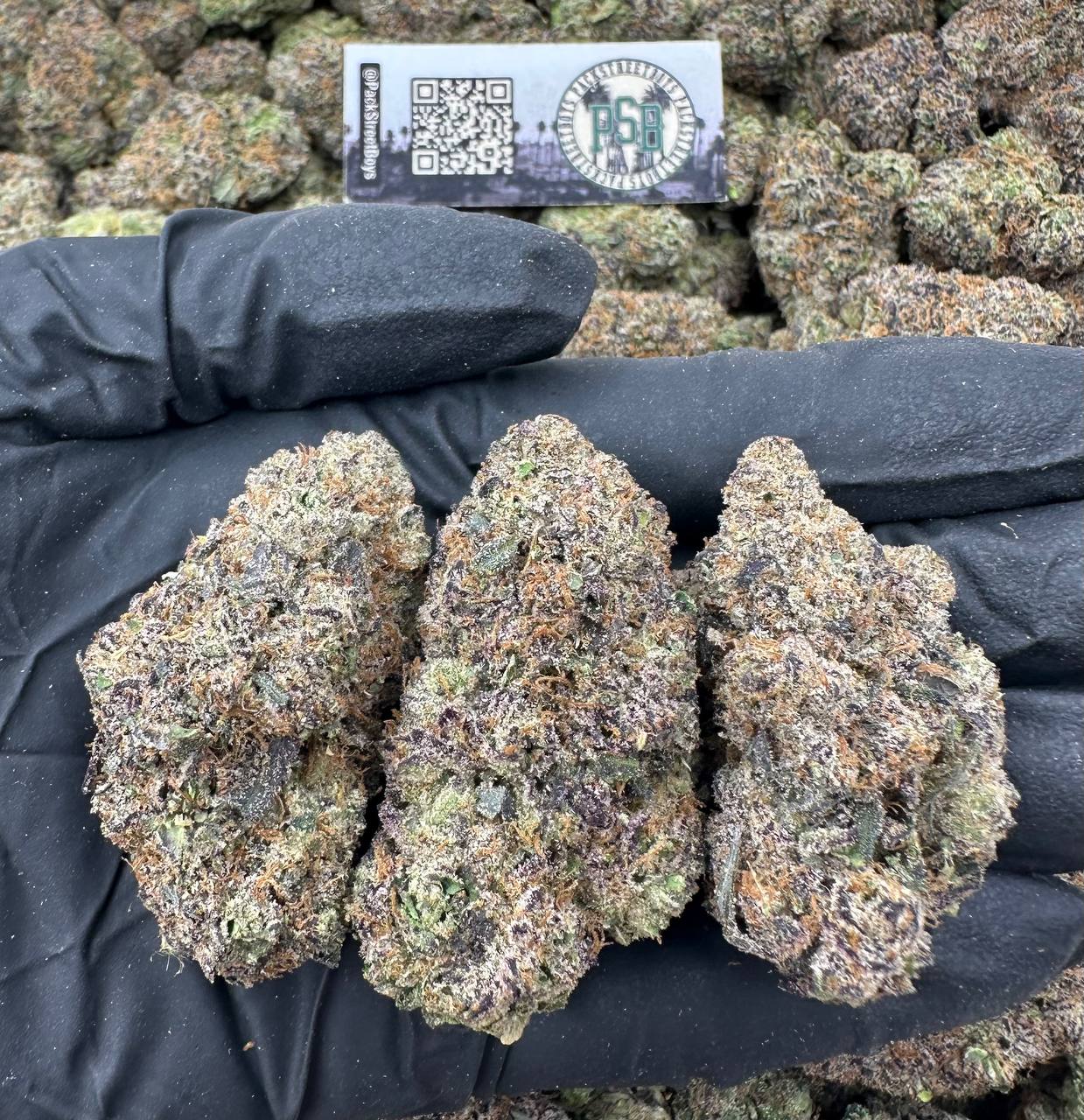 MOCHI ROCKET 12533 - packstreetboys