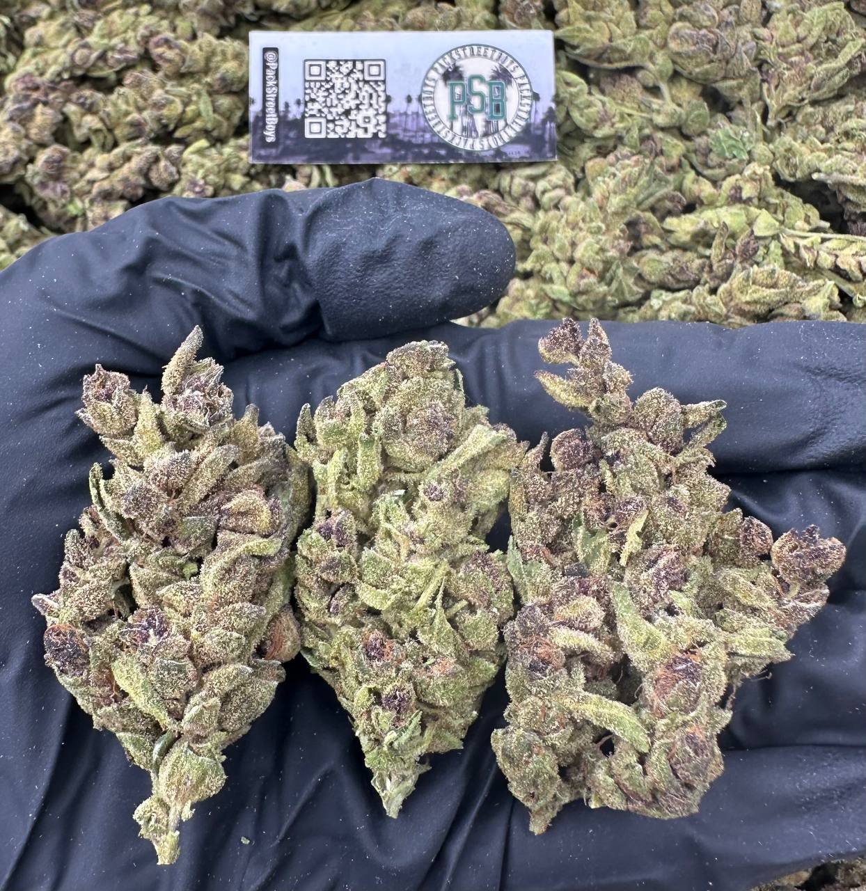 ORANGE BOMB 12460 - packstreetboys