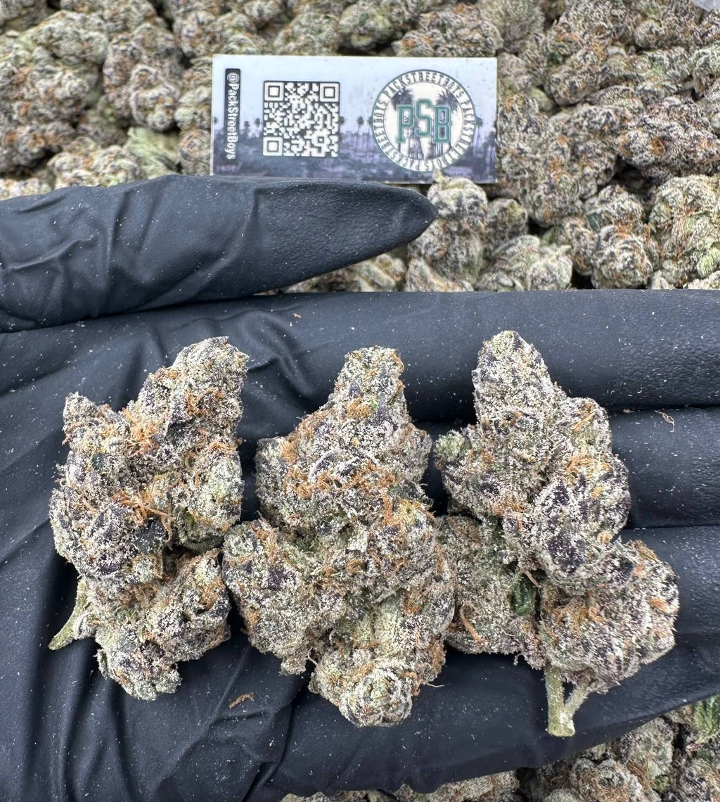 PINEAPPLE RUNTZ 12481 - packstreetboys