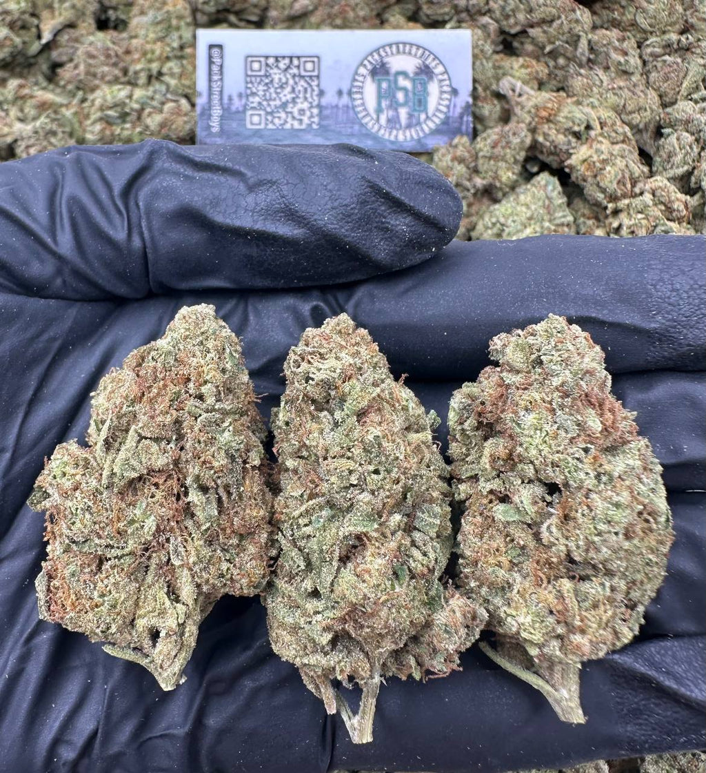 PINKY RUNTZ 12528 - packstreetboys