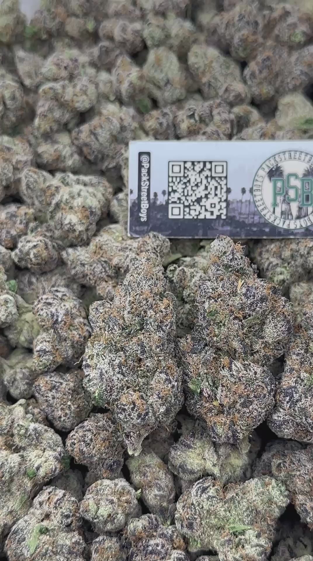 LEMON CHAMPAGNE #12482