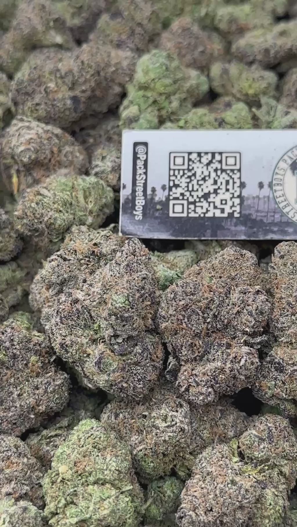 MANDARIN SLUSHEE #12459