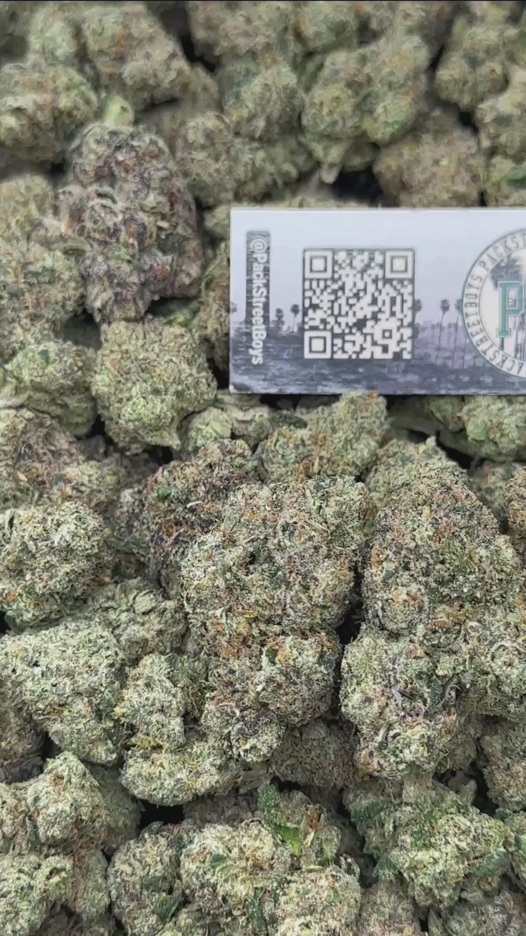 TROPICAL SLURPEE #12534