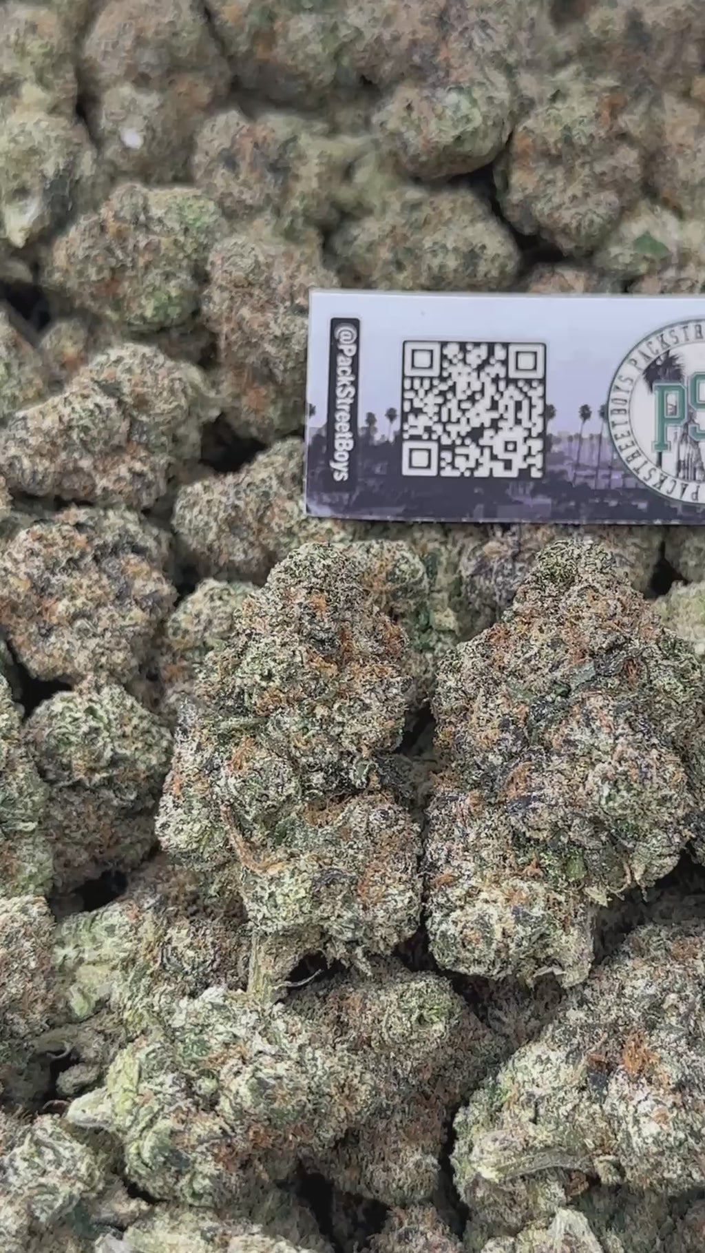 BLUEBERRY ICE BOMB #12462