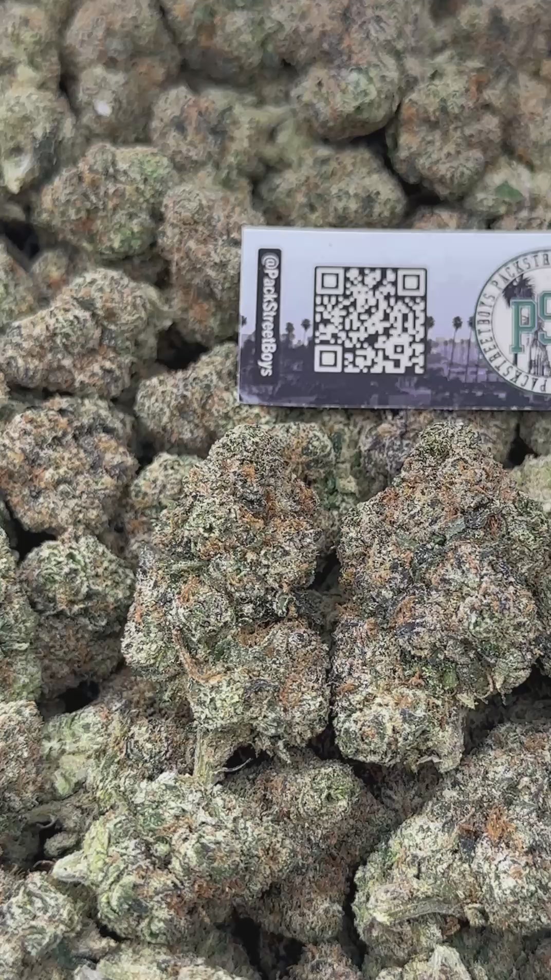 BLUEBERRY ICE BOMB #12462