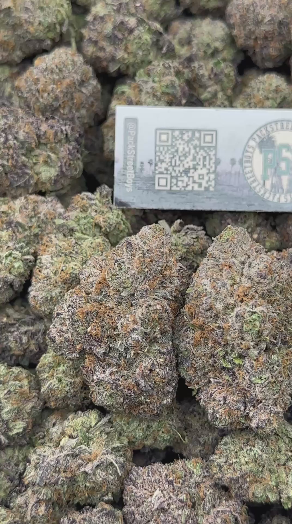 STRAWBERRY POPSICLE #12515