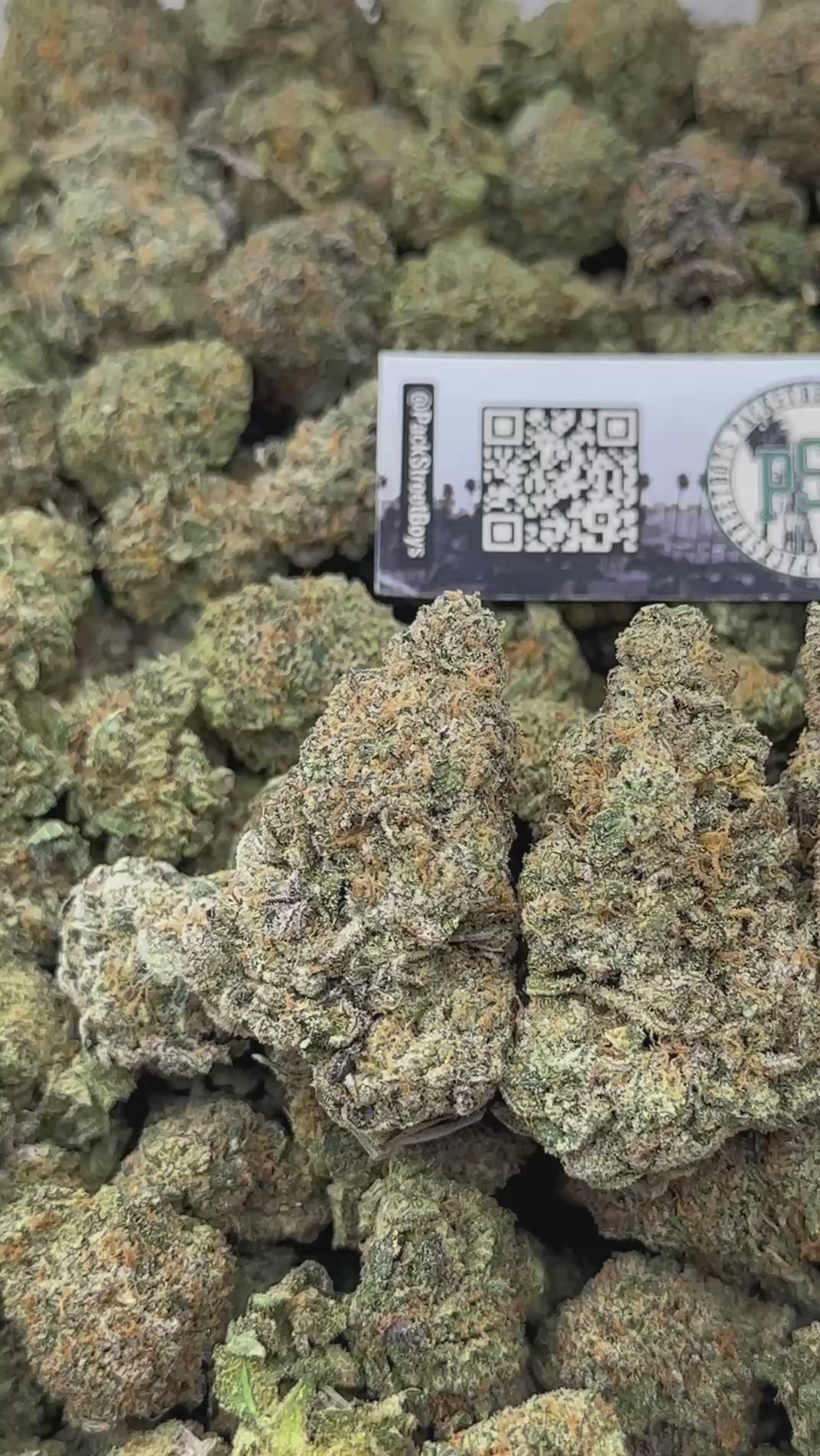 BLUEBERRY ZAP #12467