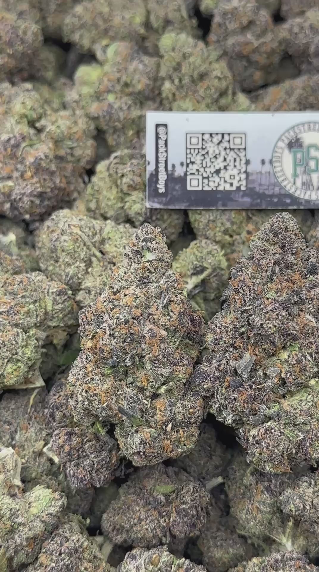 GRAPE JELLY ROLL #12535