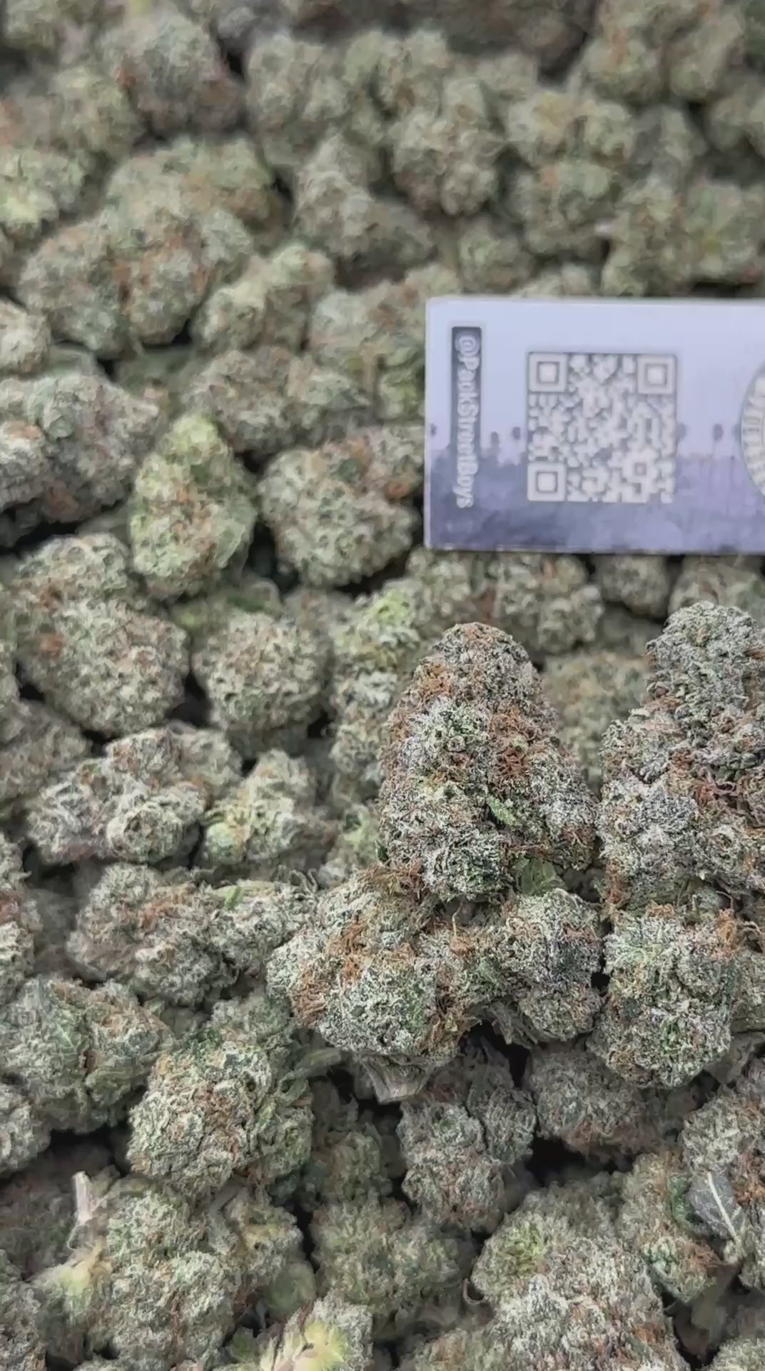 FLAWLESS SMALLS #12496