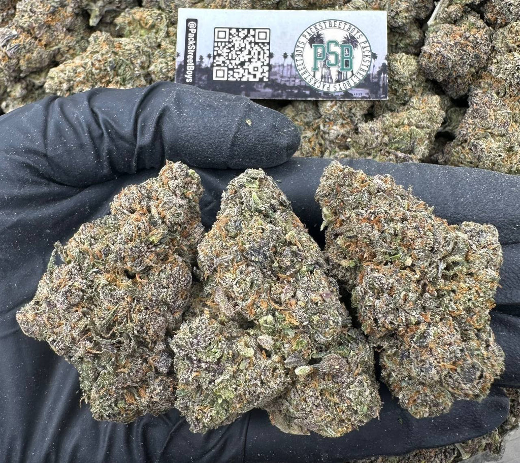 PURPLE STARRY 12521 - packstreetboys