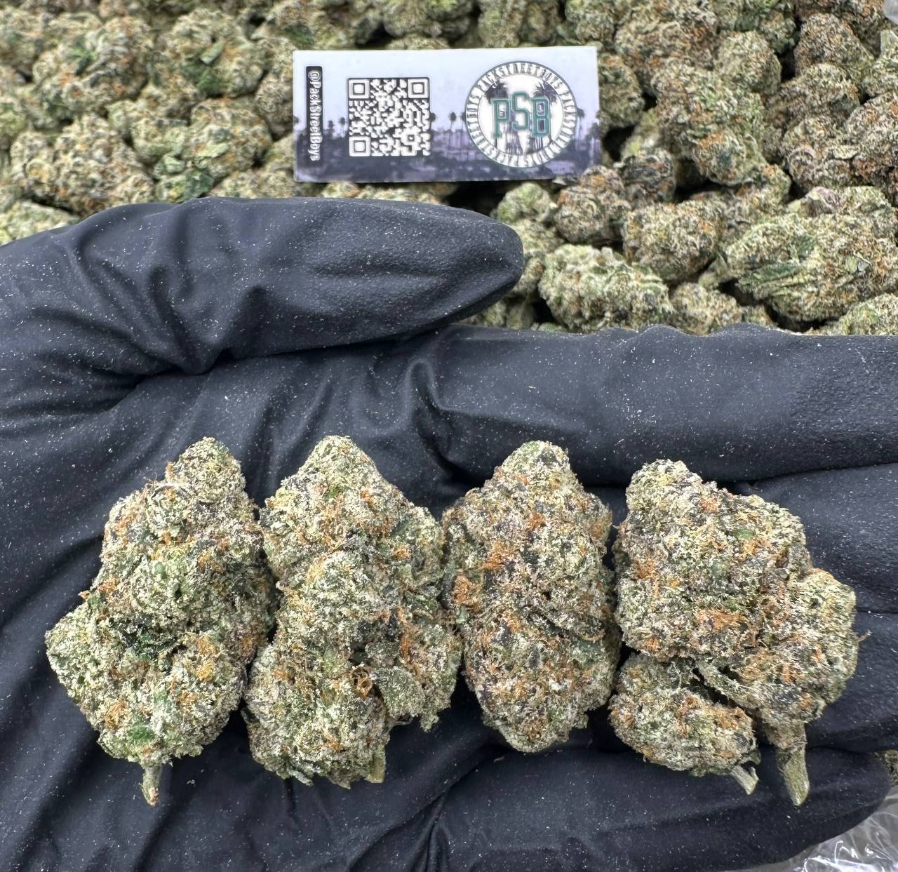 RAINBOW BELTZ 12463 - packstreetboys