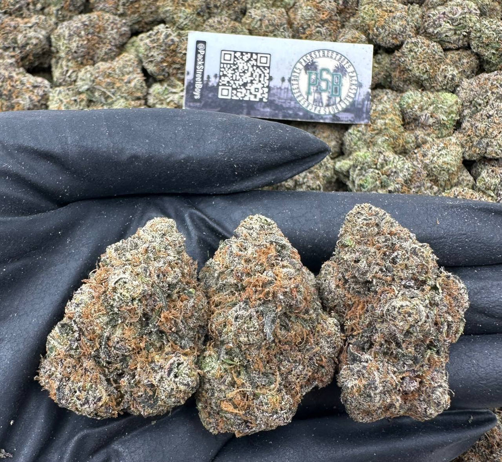 SUPERSTAR GUMBO 12486 - packstreetboys