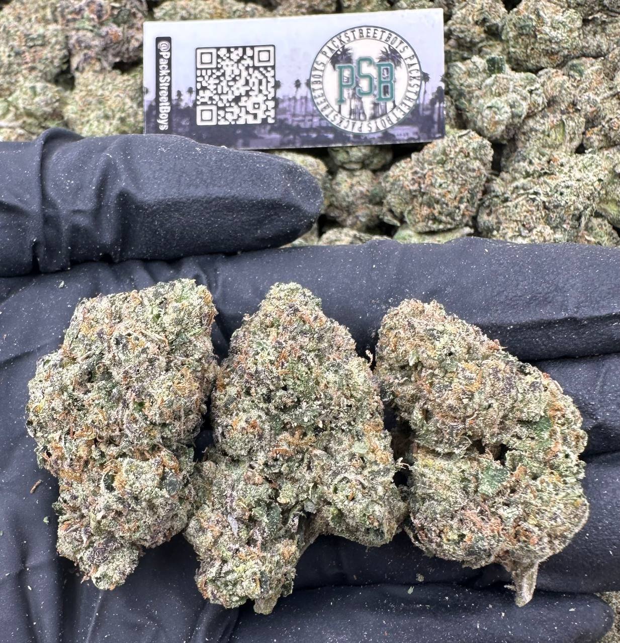 TROPICAL SLURPEE 12534 - packstreetboys