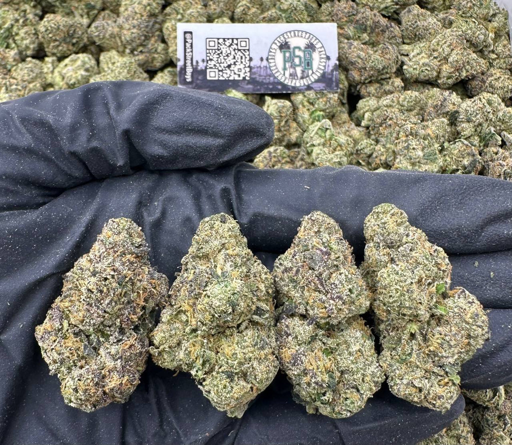 ZUSHI BOMB 12464 - packstreetboys